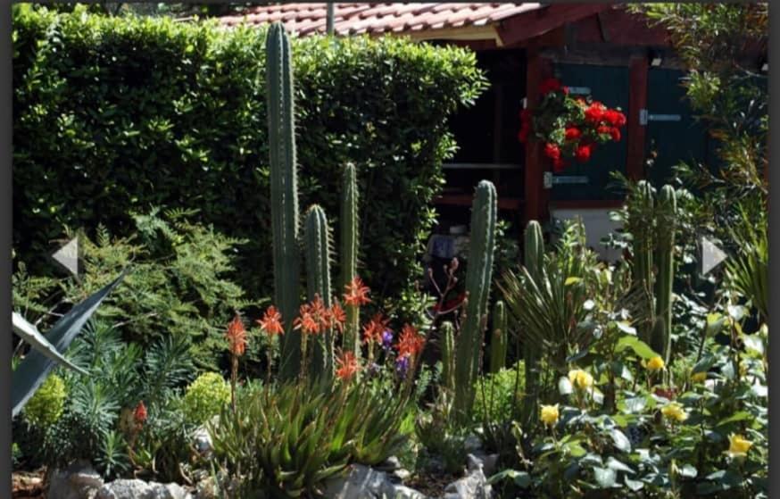 Cactus House Gaspar Apartment Zadar